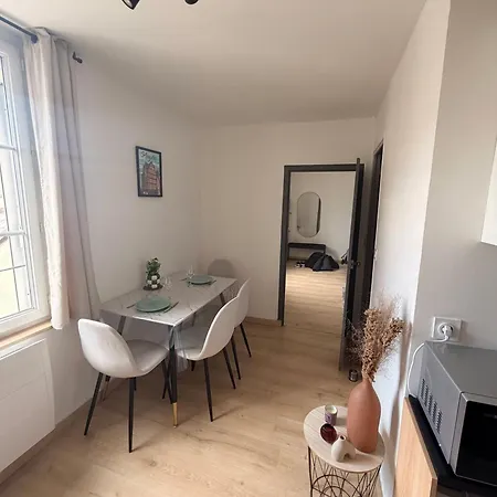 Sejour Lumineux & Calme En Plein Coeur D'angers Ανζέρ
