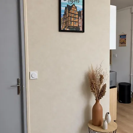 Appartement Au Cœur D'angers *